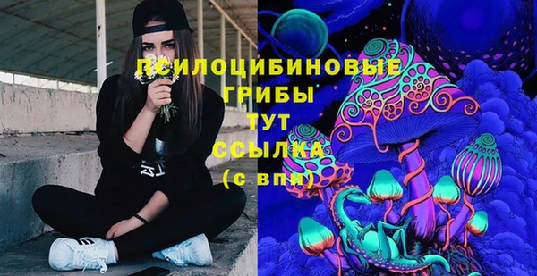 спайс Медногорск