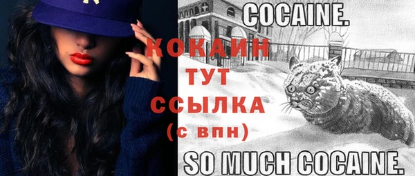 спайс Медногорск