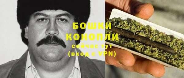 прущие крисы Медвежьегорск