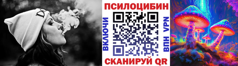 Псилоцибиновые грибы мицелий Купить где Ржев